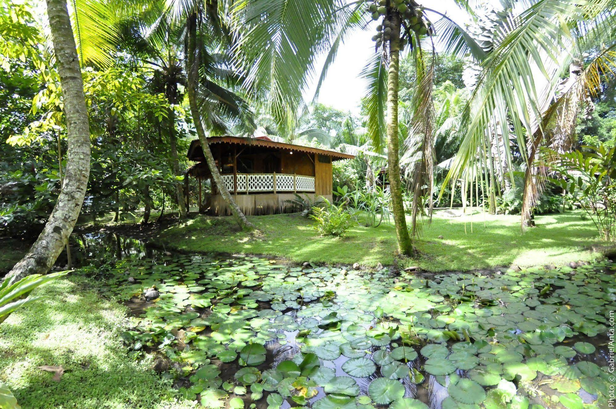 Hotel La Costa De Papito Puerto Viejo de Talamanca Exterior photo